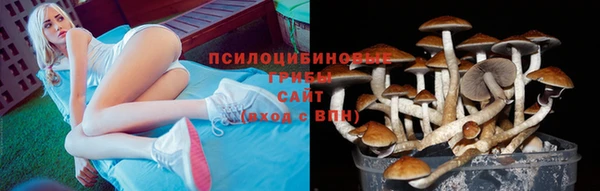 мдпв Киренск