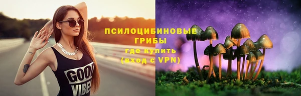 синтетический гашиш Алексин